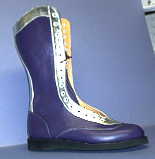 RD Wrestling Boots Purple Silver Mix Boots
